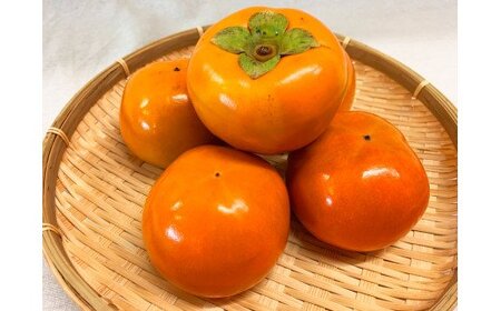和歌山秋の味覚　富有柿　約７．５ｋｇ「2026年11月上旬頃～2026年12月上旬頃に順次発送予定」【UT48】【uot702A】