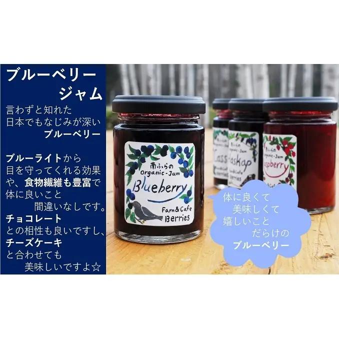 手作りジャムセット 【ブルーベリー】 2個 北海道 南富良野町 ジャム ブルーベリー ソース 果実 ベリー