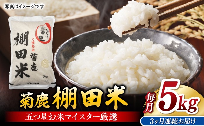 
                  【3回定期便】菊鹿 棚田米 5kg【ミヤタ 株式会社 】お米 精米 くまさんの輝き 熊本県 特産品 米 こめ [ZAH006]
                
