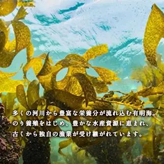 【 有明海苔 】 乾海苔 板海苔 焼海苔