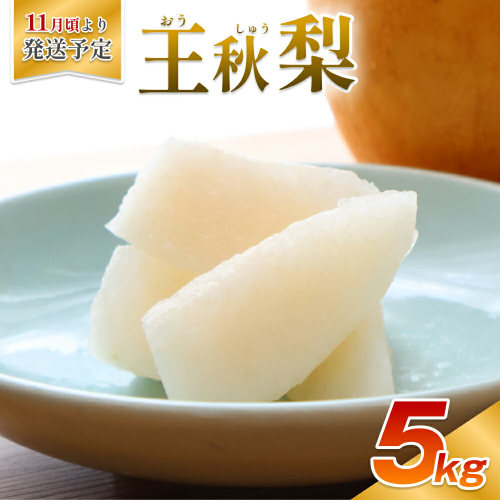 【ふるさと納税】【先行予約】安田農園 梨 ”王秋梨” 5kg箱｜鳥取 梨 なし ナシ 王秋梨 おうしゅう 果物 フルーツ 2025収穫 数量限定※お届けは2026年11月頃～【41029】
