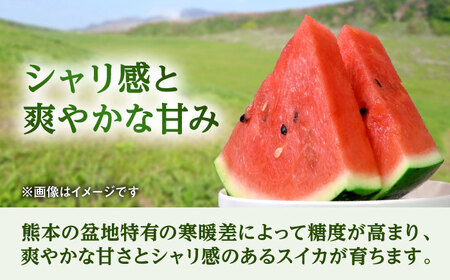 【先行予約】【数量限定】大玉 西瓜 2玉入り (1玉約8kg以上×2玉)【株式会社 GGYパッケージ】[AYAU002]