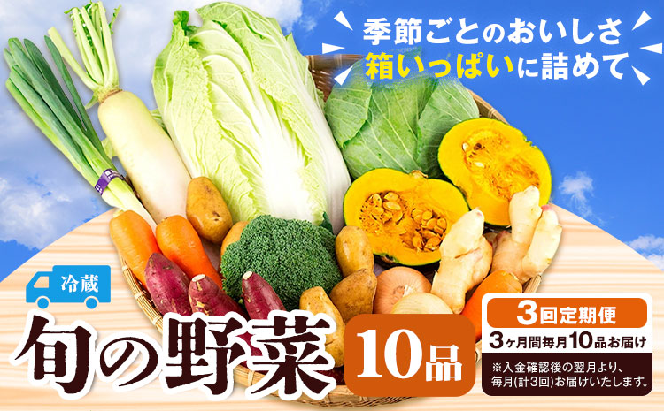 旬の野菜 定期便 計3回 旬の野菜 10品【養生市場】定期便 品種おまかせ ランダム 3ヶ月お届け 計3回 詰め合わせ セット 野菜 九州産 熊本県産《お申し込みの翌月から出荷》---003-2421
