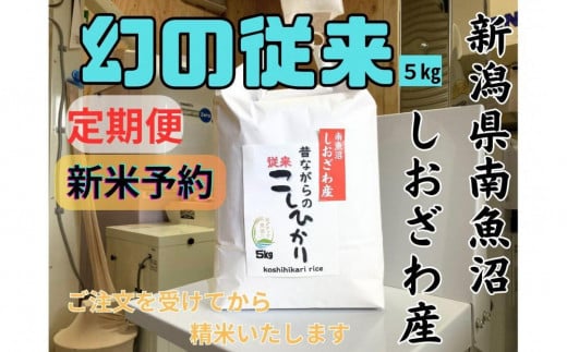 【令和7年産・新米予約・定期便】地元の人に愛され続けている昔ながらの従来コシヒカリ 5kg×12か月　新潟県南魚沼産