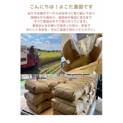 ふるさと納税 つくば市 【令和7年産】茨城県産コシヒカリ　精米10kg |  | 01