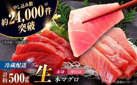 【冷蔵だから人気！】 五島列島産 養殖 生本マグロ 中トロ 赤身 計約500g マグロ  中トロ まぐろ セット 中とろ 鮪 トロ 本マグロ 生マグロ 赤身 お刺身 人気 ランキング 養殖 海鮮丼 刺し身 魚 海鮮 海産物 おすすめ【カミティバリュー】 [RBP003]