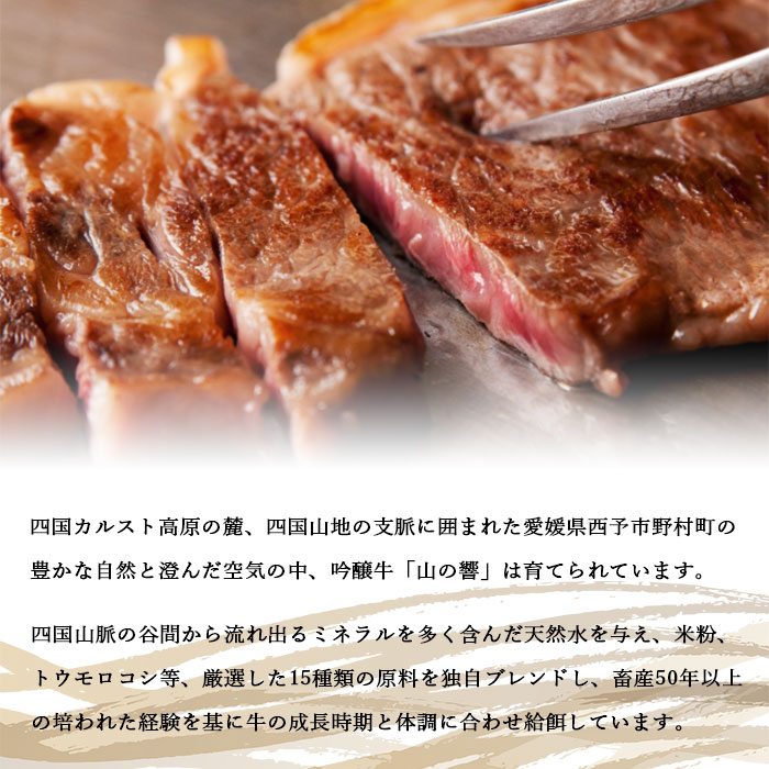 ＜愛媛県産吟醸牛「山の響」特選和牛ロースステーキ250g×5枚＞ 約1.25kg 牛肉 国産 黒毛和牛 リブロース サーロイン お祝い 御祝 お礼 御礼 特産品 高橋畜産 愛媛県 西予市