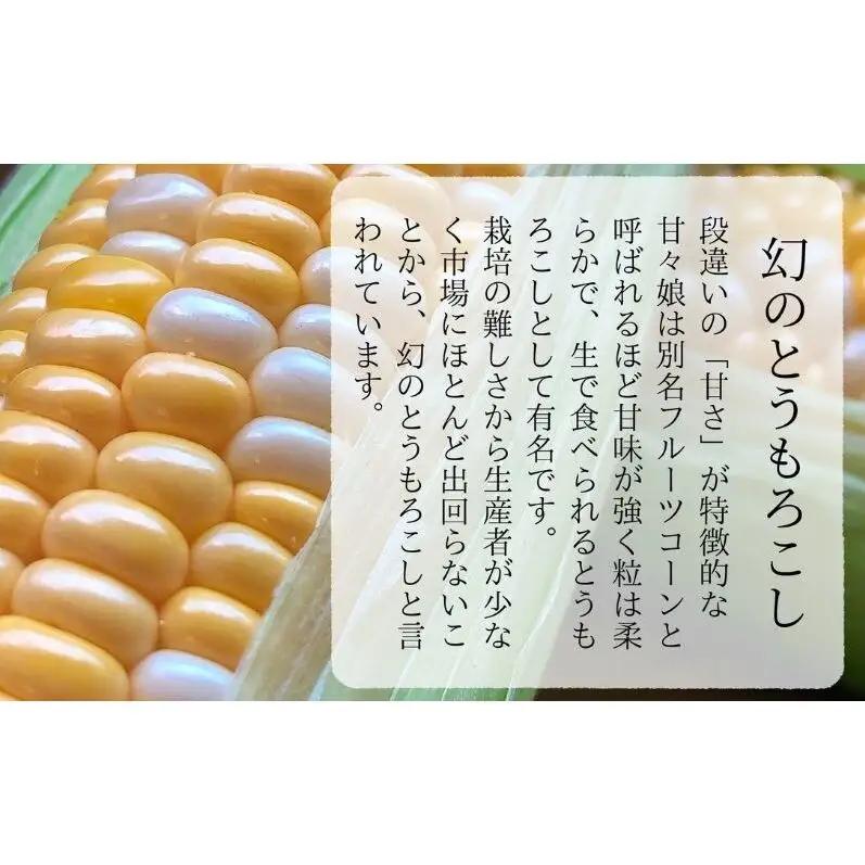 とうもろこし 先行予約 数量限定 甘々娘 コーン とうもろこし