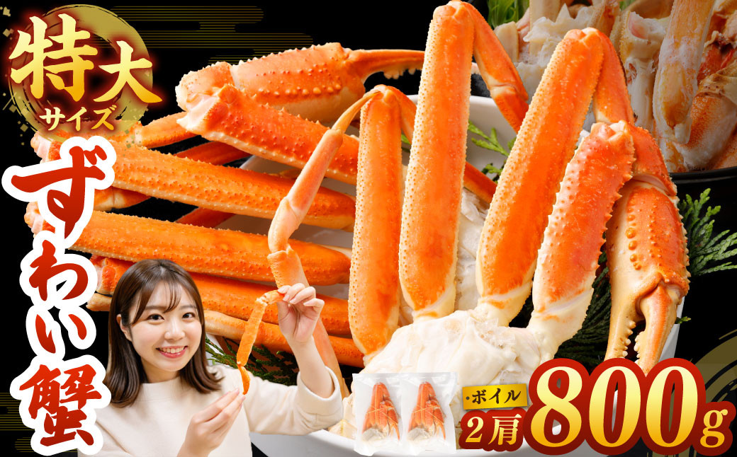 
                  【特大】ボイル ズワイ蟹 2肩 800g ｜ 海鮮 カニ かに 蟹 ズワイガニ ずわい蟹 楚蟹 ずわいがに 肩 かた 5Lサイズ 特大 大型 大容量 ボイルカニ ボイルズワイガニ 蟹しゃぶ かにしゃぶ しゃぶしゃぶ カニ鍋 蟹鍋 かに鍋 お鍋 鍋 焼き蟹 焼きガニ バター焼き 海鮮 水産 簡単調理 時短 冷凍 大阪府 阪南市
                