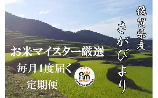 K-4 《12ヶ月毎月お届け》鹿島市産さがびより　白米５ｋｇ定期便