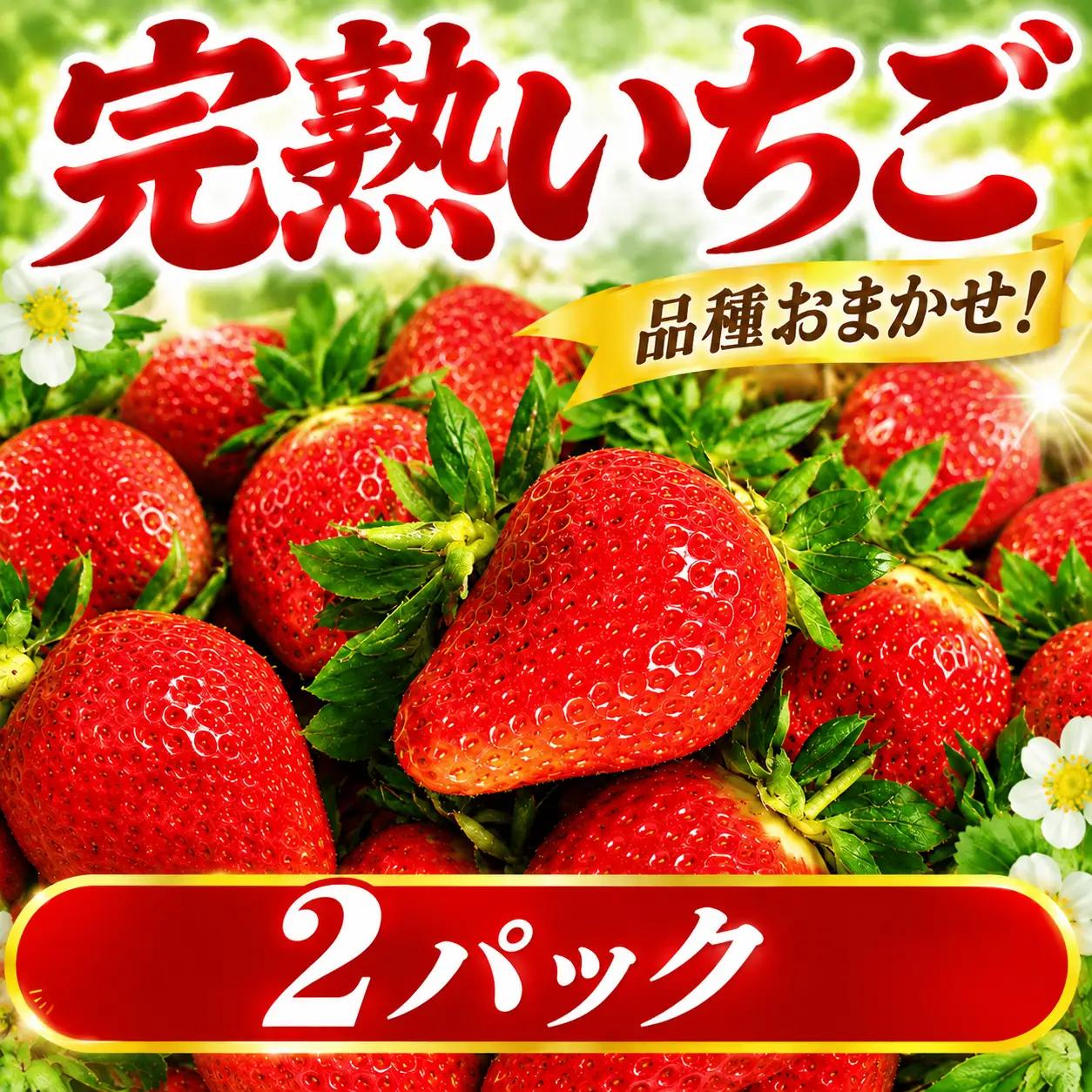 【年内お届け】 完熟 いちご 2パック 約520g