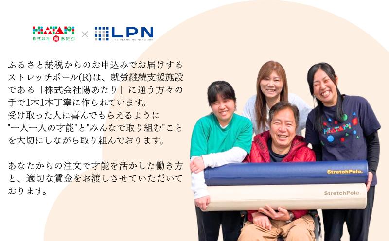 【LPN社製】ストレッチポールEX アイボリー【正規品 セルフケア ストレッチ エクササイズ 腰痛 肩こり 体幹 コアトレ】 100F073