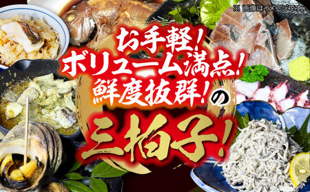 【何が届くかお楽しみ】旬の海の幸 福袋 寄附額3万円相当 魚介類 海産物 海鮮 刺身 広島 江田島市/七宝丸[XBY006]刺し身海鮮魚介類セット刺身