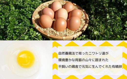 画像はイメージです。