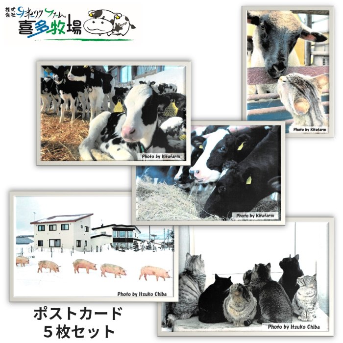 【ふるさと納税】3-4 喜多牧場ポストカードセット