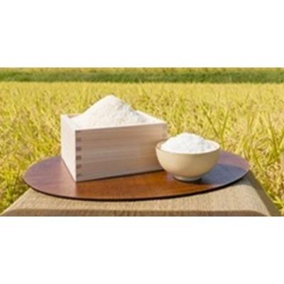 ふるさと納税 山梨県 梨北米5kg |  | 01