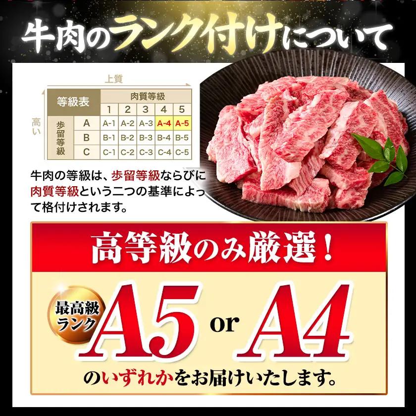 くまもと黒毛和牛 上 カルビ 焼肉 切り落とし 900g 《30日以内に出荷予定(土日祝除く)》熊本県 南関町 上カルビ 焼肉用 黒毛和牛 焼肉 肉 お肉 和牛 A5 A4 300g 小分け