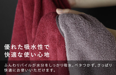 （今治タオルブランド認定）日本の伝統色　フェイスタオル2枚セット＜威光茶×紫紺色＞【IB05260FT2G】
