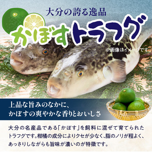 かぼすトラフグ うす引き・チリセット(33cm皿)【12月~2月までお届け】