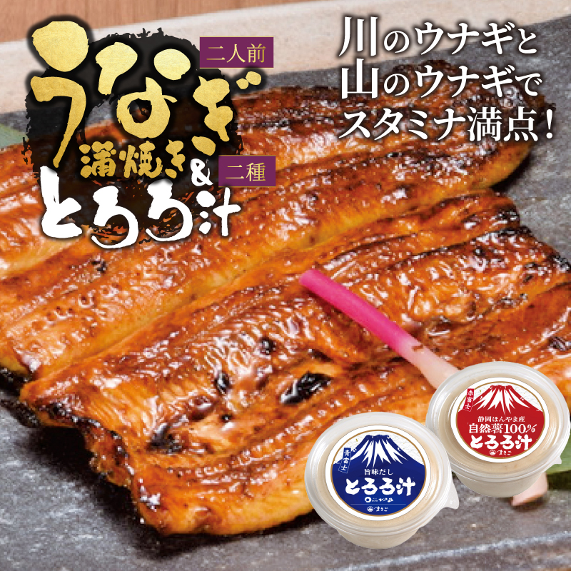 冷凍 活〆 鰻蒲焼き2人前・とろろ汁1個・自然薯100％とろろ汁1個セット [sf095-003]