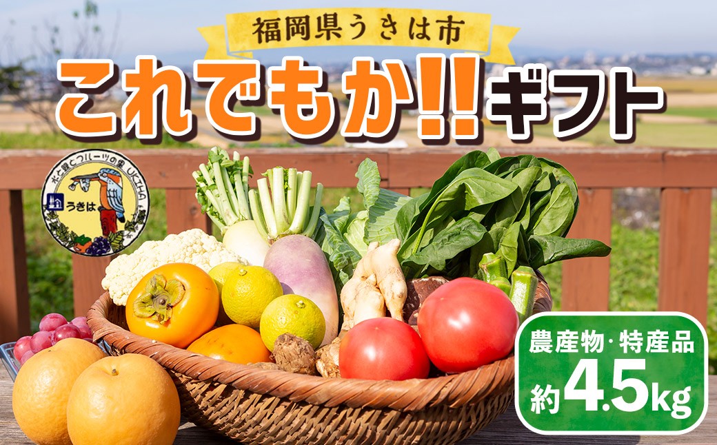 
            道の駅うきは これでもか!!ギフト (新鮮な農産物・特産品 約4.5kg)
          