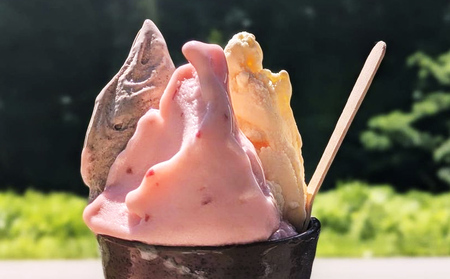 オタリアンジェラート6個セット