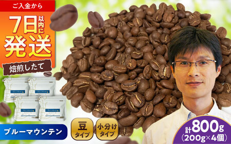 ブルーマウンテンNo.1　コーヒー豆　200g×4個 (豆)  / コーヒー  ドリップ  豆 / Coffee SAKURA[BBAB082]