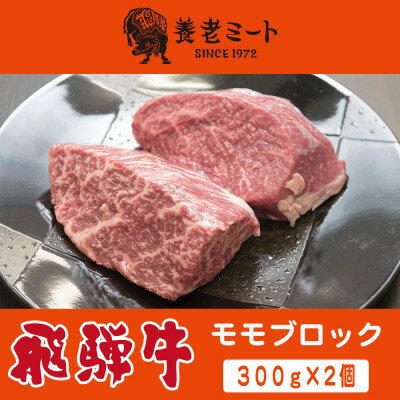【ふるさと納税】飛騨牛 モモブロック 300g×2個【配送不可地域：離島】【1622921】