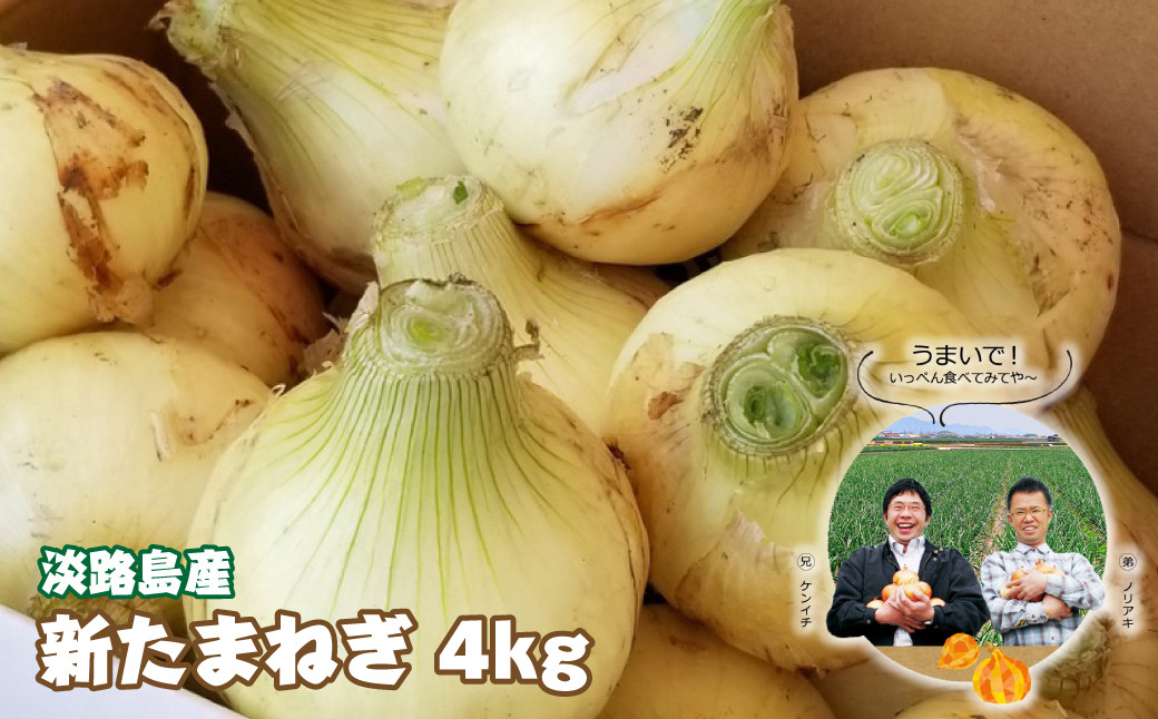 
                  淡路島産　新たまねぎ　4ｋｇ【発送時期：2027年3月～5月頃】 玉ねぎ 産地直送 タマネギ 甘い 玉葱 旬 玉ねぎ野菜 オニオン
                