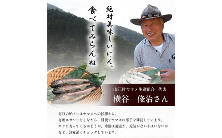 生ヤマメ 2kg 約20匹 山江村ヤマメ生産組合《30日以内に出荷予定(土日祝除く)》ヤマメ 山女魚 山女 2kg 約20匹 魚介類 魚 生鮮品 送料無料 冷蔵便