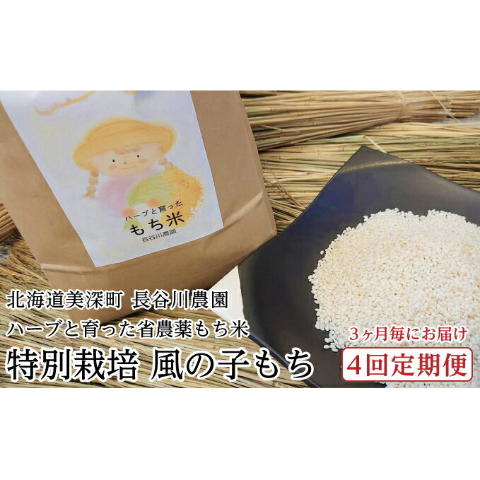 【ふるさと納税】3ヶ月毎にお届け［4回定期便］ハーブと育った省農薬の特別栽培もち米「風の子もち」5kg×1【北海道美深町】長谷川農園 餅米 北海道産 　お届け：2025年11月頃から発送開始