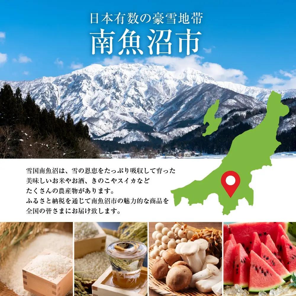 全3回 定期便 4か月毎 鶴齢 純米吟醸 純米大吟醸 720ml 各3本 計6本 晩酌 酒 日本酒 15％ アルコール お酒 低精米 新潟 贈答品 誕生日 プレゼント 特産品 ご当地送料無料 新潟県 