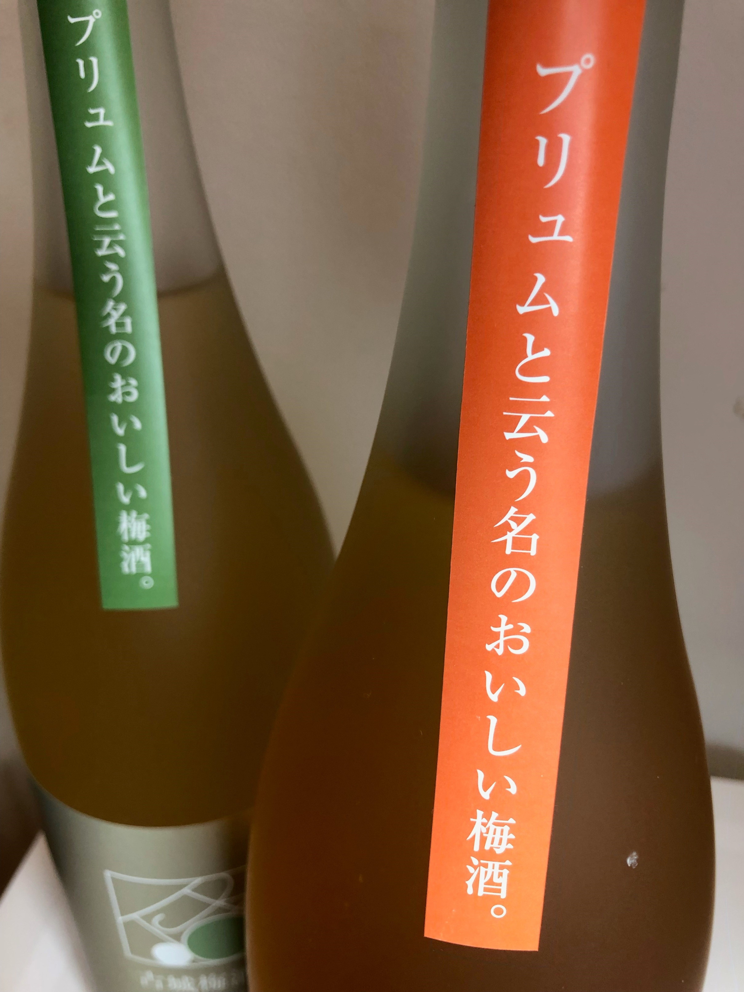 松浦一 プリュム 南高梅酒 古城梅酒 四合瓶2本セット D273_イメージ3