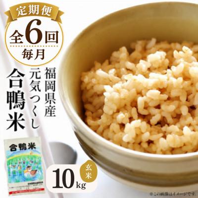 ふるさと納税 大木町 【毎月定期便】合鴨米「元気つくし」(玄米・10kg) BI25全6回