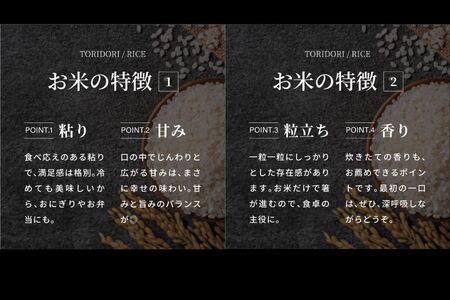 ＜令和7年産＞ 真空パック包装 鳥取県産コシヒカリ10kg(5kg×2袋)　令和7年産　Elevation