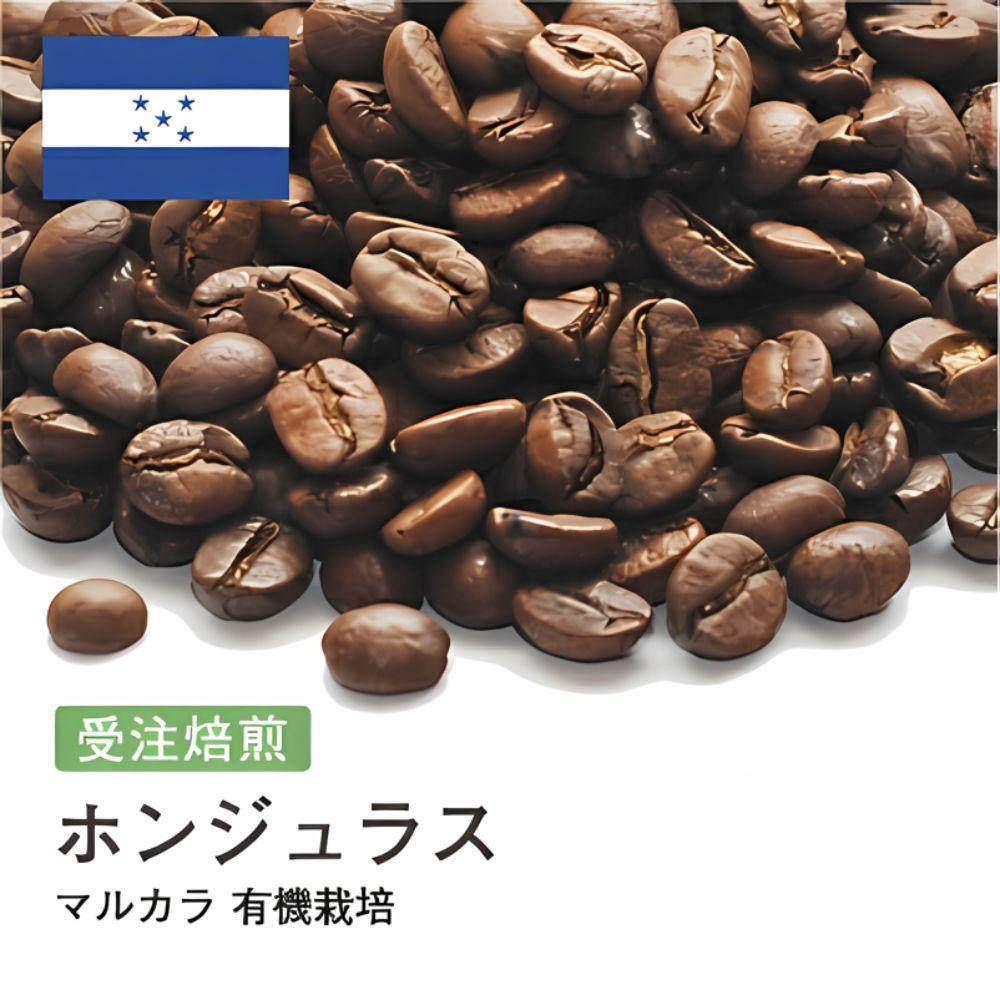 コーヒー豆 #189 ホンジュラス マルカラ 有機栽培 オーガニック 受注焙煎！310g 珈琲豆 コーヒー豆 自家焙煎 272183_BG375