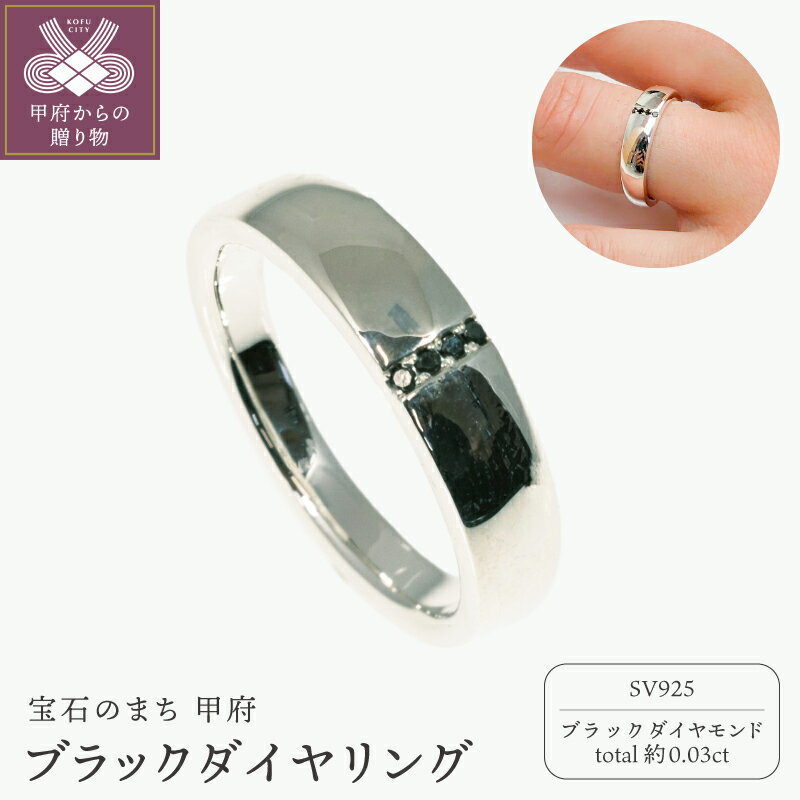 【ふるさと納税】＜ 甲府ジュエリー ＞ リング 指輪 ジュエリー アクセサリー メンズ ダイヤモンド ブラックダイヤモンド 合計約0.03ct SV925 シルバー シルバーリング シンプル ニッケルフリー ギフト プレゼント ジュエリーケース付 保証書付 k358-014