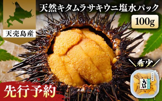 
                  【北海道 天売島産】 ★2026年先行予約★ 天然 キタムラサキうに 塩水パック 100g×1パック | ウニ うに ムラサキウニ 紫うに 天然うに 北海道うに 高級うに 海鮮 海産物 生うに 塩水うに 魚介類 魚介 海の幸 キタムラサキウニ グルメ おつまみ 寿司ネタ 贅沢 お取り寄せ 北海道 羽幌町 羽幌【31001】
                