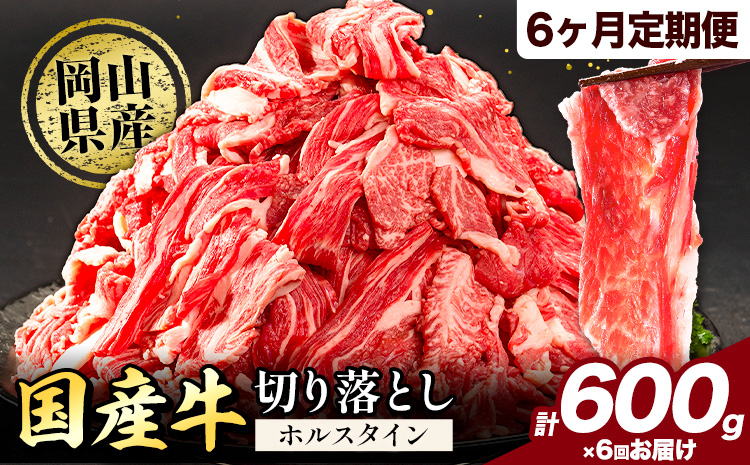 【6ヶ月定期便】牛肉 肉 国産牛 切り落とし ホルスタイン 大容量 小分け 600g(300g×2) 《お申込み月の翌月から出荷開始》岡山県産 岡山県 矢掛市 お肉 にく カレー 牛丼 牛肉 切り落し 小分け 切落し 牛肉 小分け 牛肉