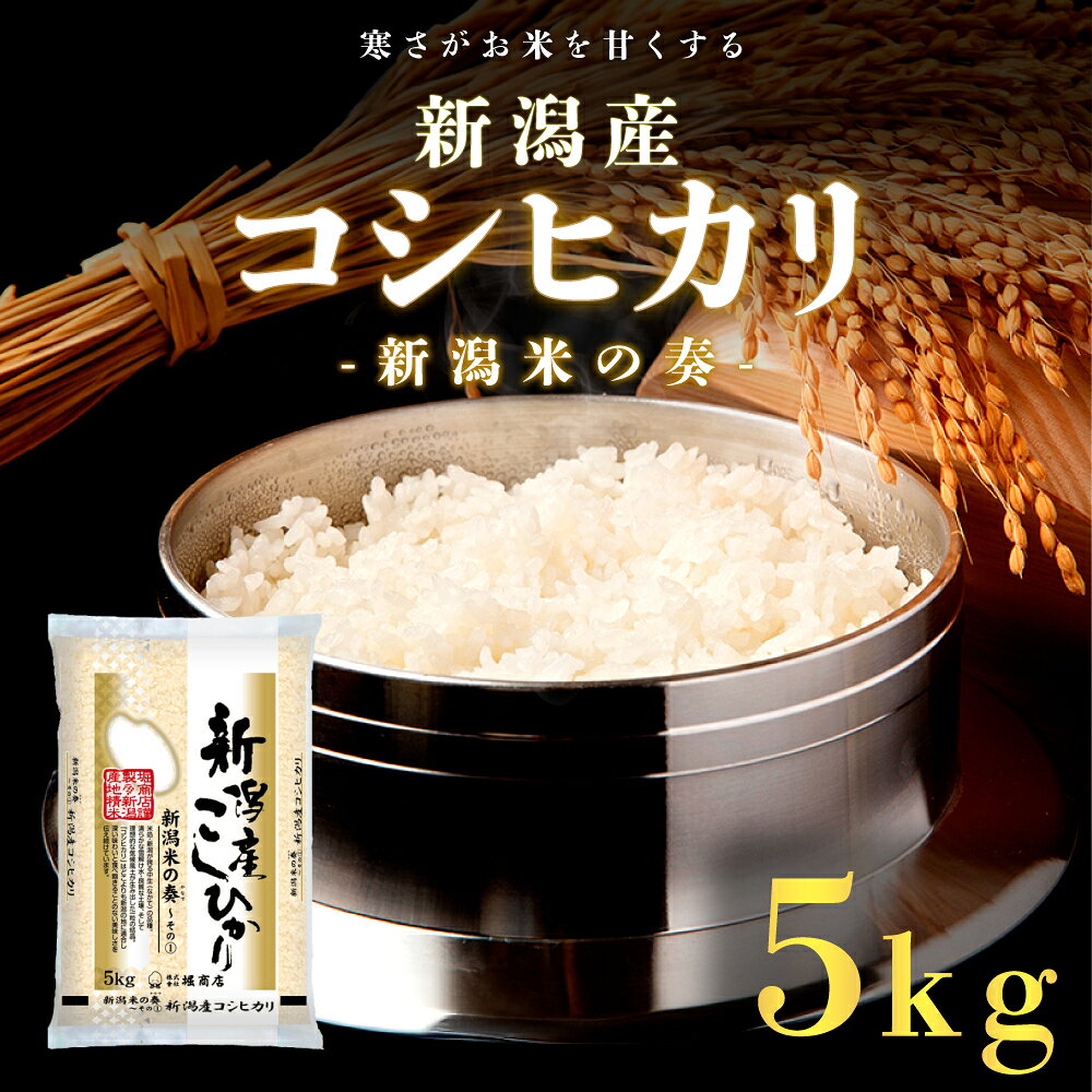 【ふるさと納税】新潟産コシヒカリ 5kg 米 精米　お届け：寄附確認後、順次発送