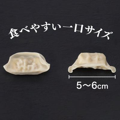ふるさと納税 新宮町 福岡・博多の味『博多一口餃子』160個入(40個入×4P).A1597 |  | 03