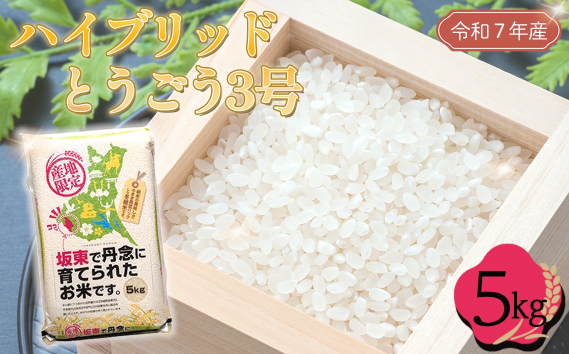 
                  「令和7年産米」ハイブリッドとうごう3号　5kg ／ 令和7年 新米 米 お米 こめ コメ 精米 白米 ご飯 国産米 5kg 5キロ ハイブリッドとうごう3号 大粒 真空 真空パック 買い置き おすすめ 人気 おいしい お取り寄せ 産地直送 産直 坂東市産 茨城県産 茨城産 茨城県 特産品 No.760
                