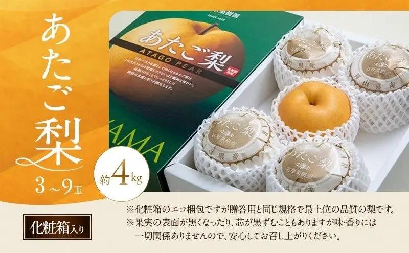 梨 フルーツ あたご梨 岡山県産 梨【3～9玉 約4kg】【先行予約】
