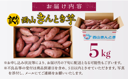 西山きんとき芋 5kg | 訳あり 新芋 さつまいも サツマイモ さつま芋 焼き芋 やきいも ヤキイモ 人気 野菜 不揃い 規格外 おやつ デザート秋 旬 生芋 ご家庭用 高知県 室戸市
