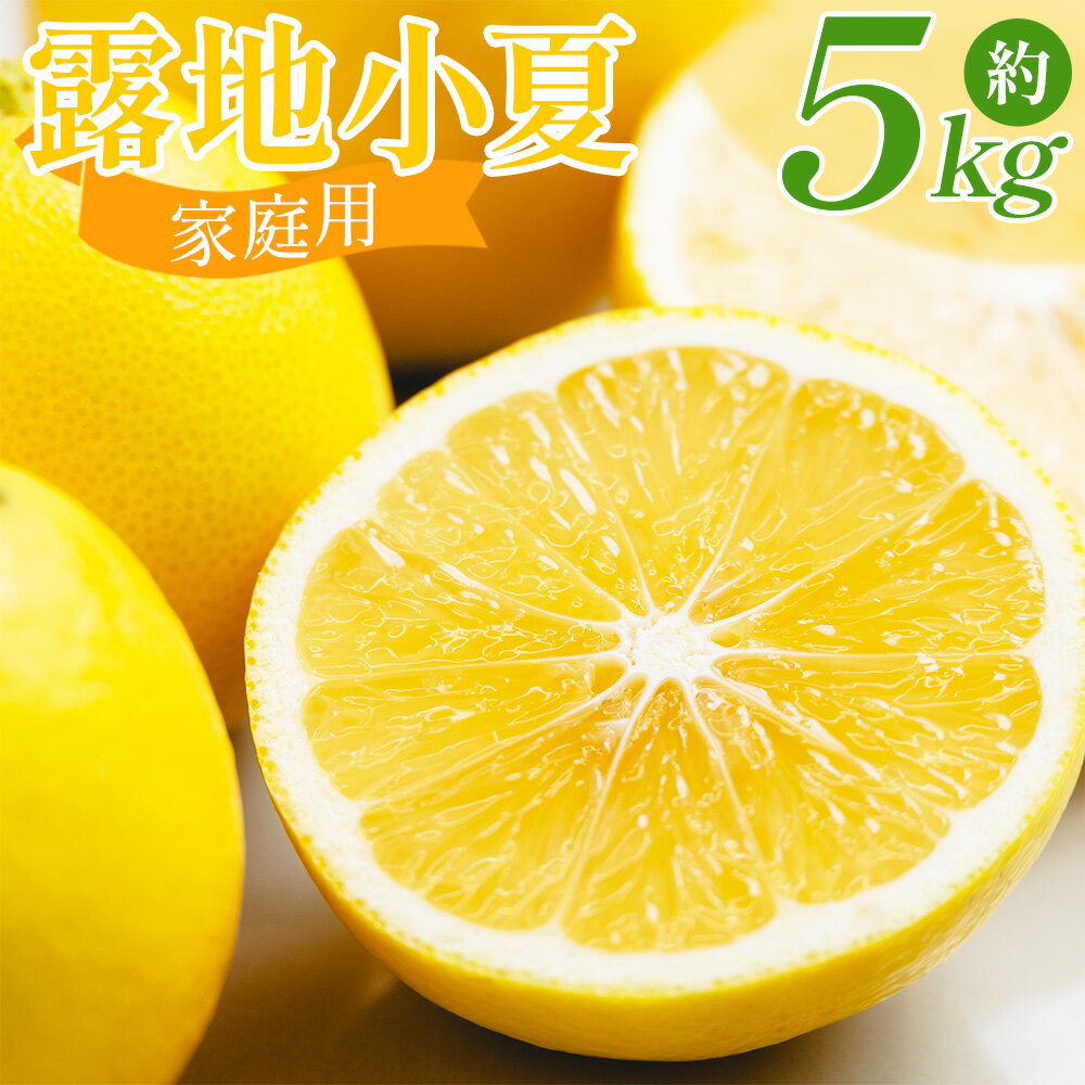 【ふるさと納税】露地 小夏 5kg 家庭用 混合（M〜Lサイズ） - 国産 柑橘 日向夏 ニューサマーオレンジ 蜜柑 みかん ミカン フルーツ 果物 くだもの こなつ 5きろ 5キロ わけあり 訳あり キズ 不揃い 美味しい 送料無料 高知県 香南市 【常温】 nm-0005