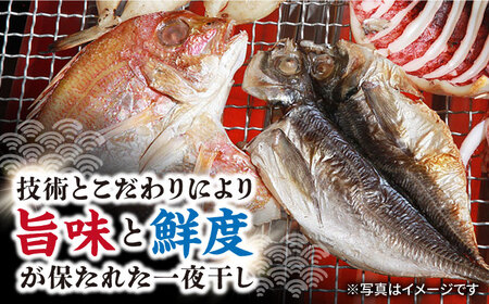 磯の味 セット 大 9種 詰合せ 一夜干 干物 明太漬け 長崎県 大村市 株式会社ナガスイ[ACAB320]
