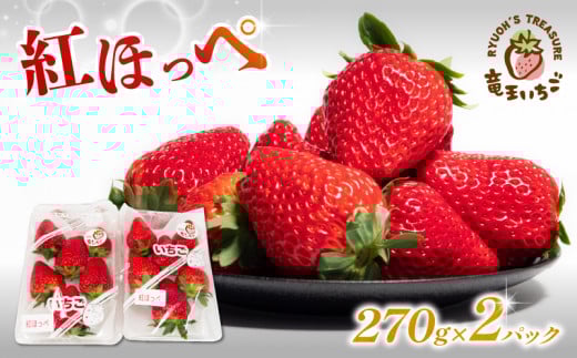 【数量限定】先行予約販売開始 竜王町産 いちご 紅ほっぺ 540g  (270g × 2パック)  苺 イチゴ ストロベリー 苺 ichigo strawberry itigo benihoppe 旬 産地 直送 フレッシュ イチゴ フルーツ 果物 国産 小分け ベリー 滋賀県 竜王町 人気苺 ふるさと納税苺 ふるさと苺 furusato苺 おすすめ苺 送料無料 滋賀県 竜王町