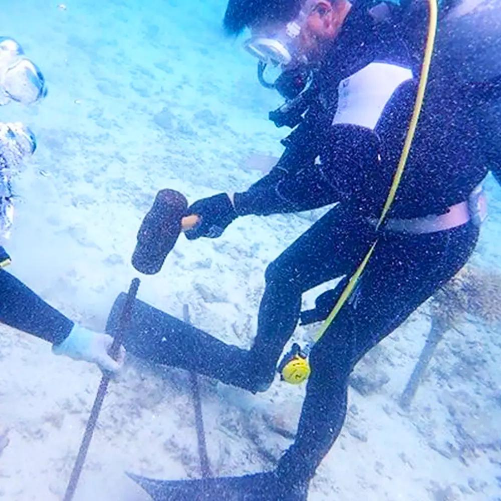 ボートで行く！ファンダイビング（5Dive）
