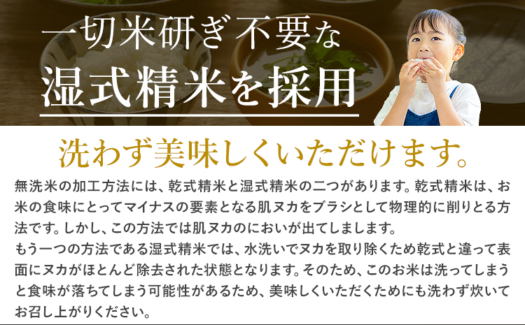 【12ヶ月定期便】令和7年産 新米 無洗米 こしひかり 20kg《お申込み翌月出荷》熊本県産 ふるさと納税 無洗米 ひの 米 こめ ふるさとのうぜい コシヒカリ コメ お米 おこめ---reihoku