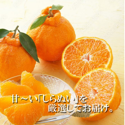 2026年2月〜順次出荷　甘さと酸味の絶妙なバランス!はじける果肉「不知火」約3キロ【C39−74】【配送不可地域：離島】【1620480】